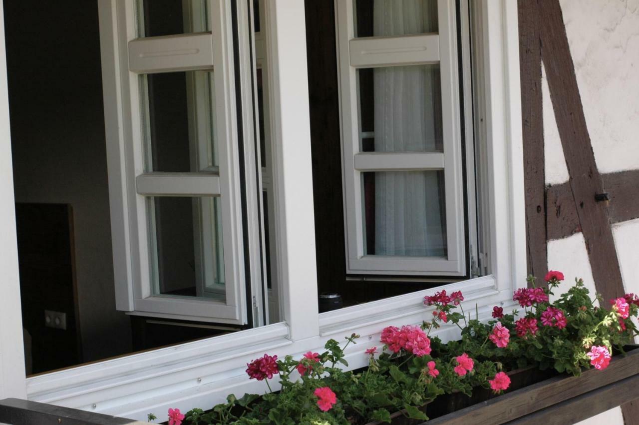 Wilkenhof Apartment Willingen  Exterior foto