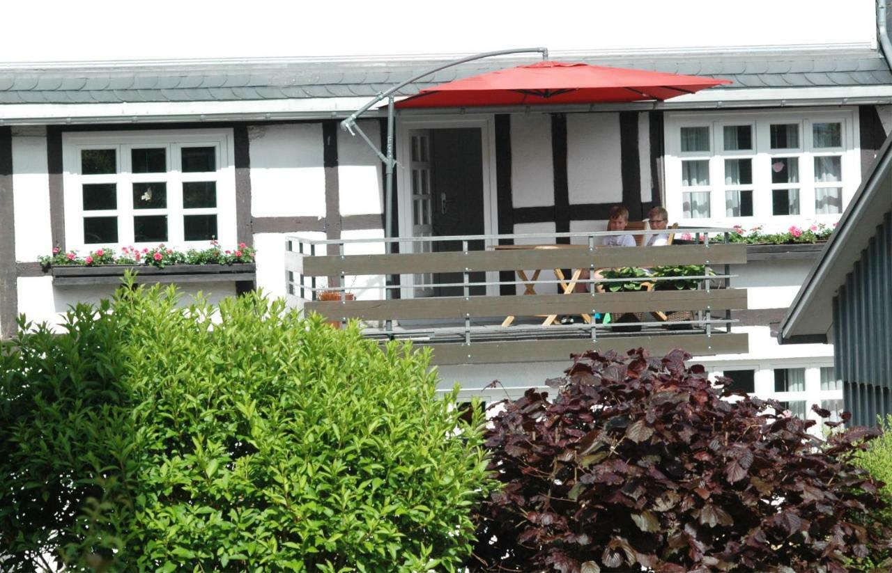 Wilkenhof Apartment Willingen  Exterior foto